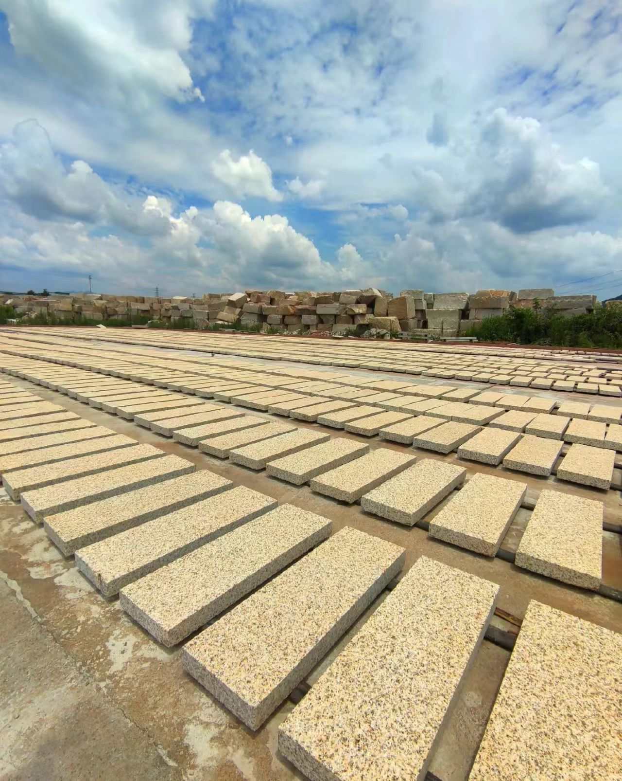 白银 黄金麻花岗岩荔枝面地铺石防护中